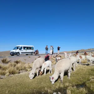 Traslado Colca - Chivay - Puno