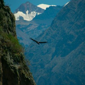 Arequipa - Colca (2D-1N)
