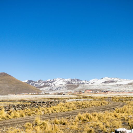 aguana blanca
