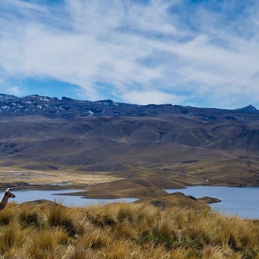 lagunillas1